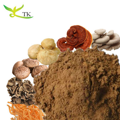 100% natürlicher Reishi Löwenmamm Shiitake Maitake Chaga Türkei Schwanz Pilzextrakt Pulvermischung