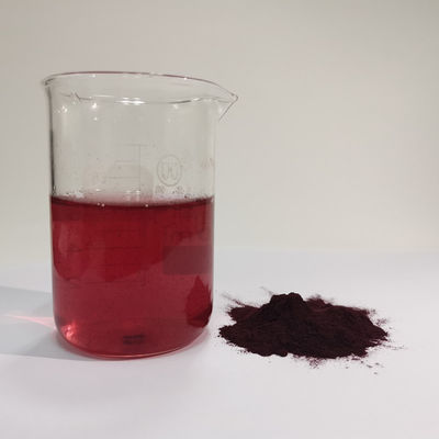 HACCP Fabrik Bestpreis Großhandel Natürliches 25% Blaubeerextrakt Pulver Anthocyanin Wasserlöslich