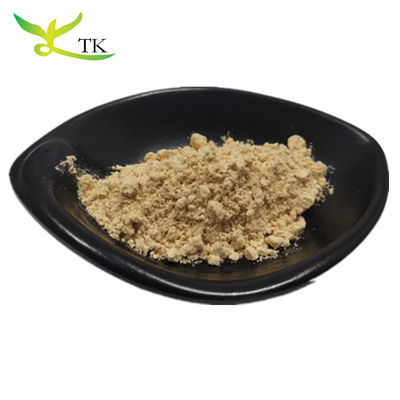 Höchste Qualität 100% reine natürliche Panax Ginseng Wurzelextrakt Ginsenoside Pulver 10% ~ 80%
