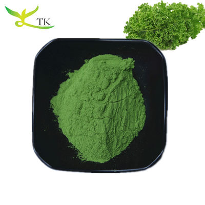Natürliche Superfood Pulver pflanzliche Ergänzung 10:1 20:1 Grünkohlenextrakt Pulver
