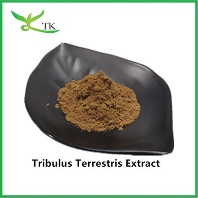 Bestpreis im Großhandel 100% natürlicher Tribulus Terrestris Extrakt Pulver Saponin 40%