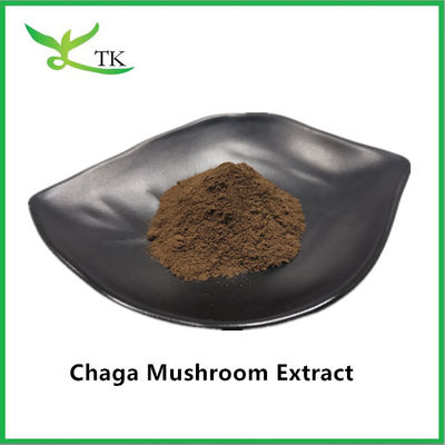 Natürliche Gesundheitsmittel Pilzextrakt Chaga-Extrakt Pulver Chaga Polysaccharid 20%