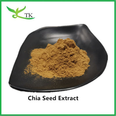 Großhandelspreis 100% natürlicher Chia-Samen-Extrakt Chia-Samen-Proteinpulver