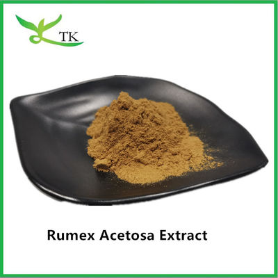 Großhandelspreis 100% natürlicher Kräuterextrakt Rumex Acetosa L. Extraktpulver