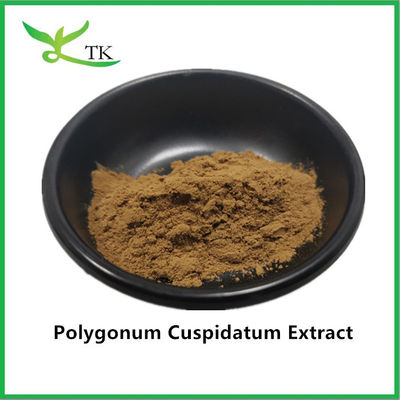 Rein natürlicher Pflanzenextrakt aus Riesenknotweed Polygonum Cuspidatum Extrakt aus 20% Resveratrol