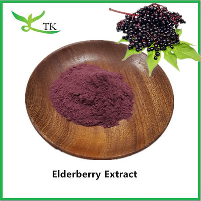100% natürlicher Elderberry-Extraktpulver Schwarzer Elderberry-Extrakt