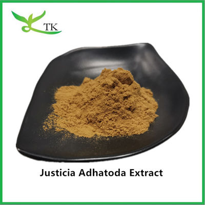 100% natürliches Justicia Adhatoda Extrakt Pulver Adhatoda Vasica Extrakt 10:1