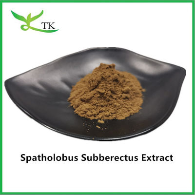 100% natürliches Caulis Spatholobi Extrakt Pulver Spatholobus Suberectus Extrakt