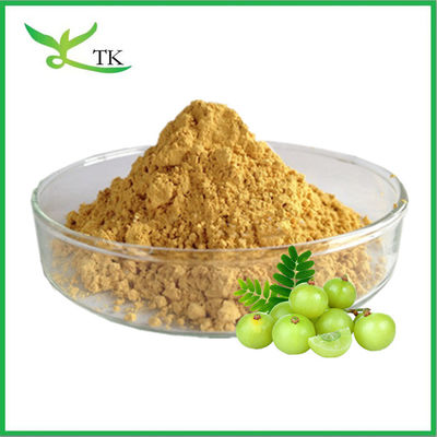 Best Price Lebensmittelqualität Indischer Gooseberry Extrakt Pulver Amla Frucht Extrakt