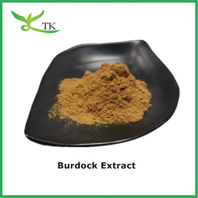 Rein natürlicher botanischer Extrakt von Burdockwurzeln Extrakt von 4:1 Burdock-Extrakt