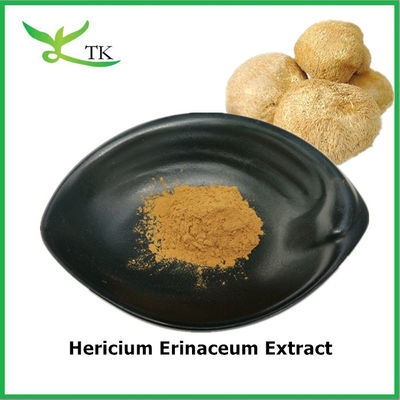 Nahrungsmittelqualität Reiner natürlicher Hericium Erinaceum Extrakt Hericium Erinaceum Pulver
