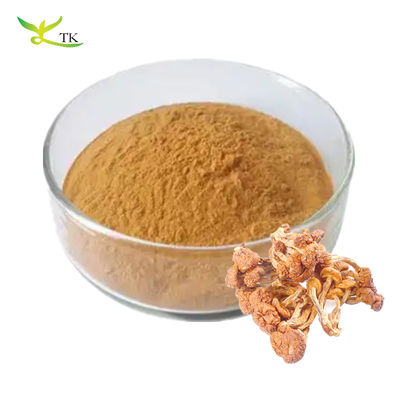 Nahrungsmittelqualität Reine natürliche Pholiota Nameko Extrakt Polysaccharide Pulver