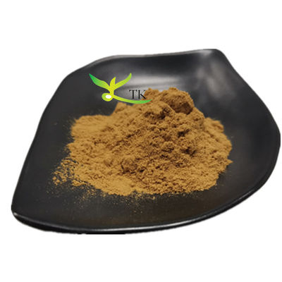 Natürlicher Fucus Vesiculosus Extrakt Fucoxanthin Pulver Fucoxanthin Preis
