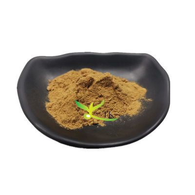 100% natürliche Lebensmittelqualität Salsola Collina Extrakt Salsola Collina Pulver Preis
