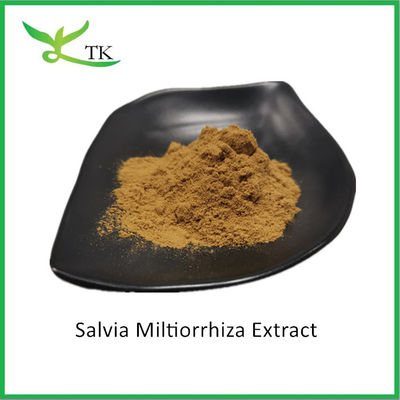 Natürliche pflanzliche Salvia Miltiorrhiza-Extrakt Salvia Miltiorrhiza-Wurzextrakt Pulver