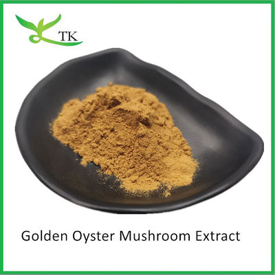 Natürliche Pilzpräparate Pleurotus Citrinopileatus Golden Oyster Mushroom Extraktpulver