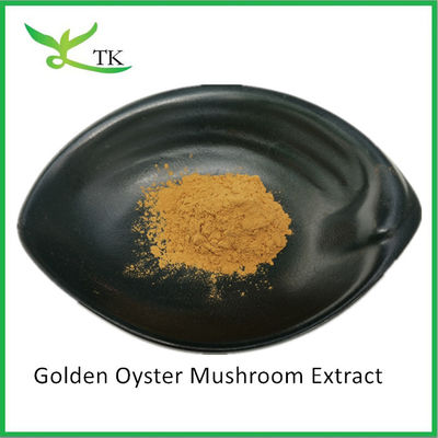 Natürliche Pilzpolysaccharide Pleurotus Citrinopileatus Extrakt Pulver Citrine Pleurotus Extrakt
