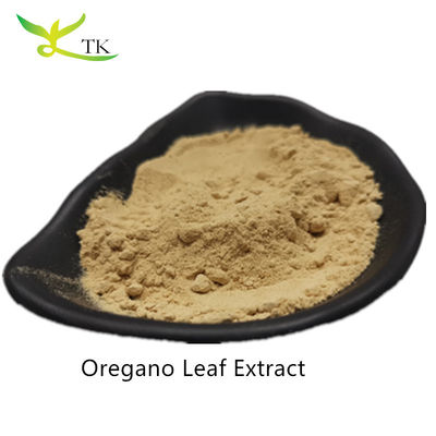 Großhandelspreis 100% natürliches Oregano-Extrakt Pulver Oregano-Blatt-Extrakt