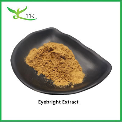 Lebensmittelqualität 100% natürliches Eyebright Extrakt Pulver Eyebright Pulver Großhandelspreis