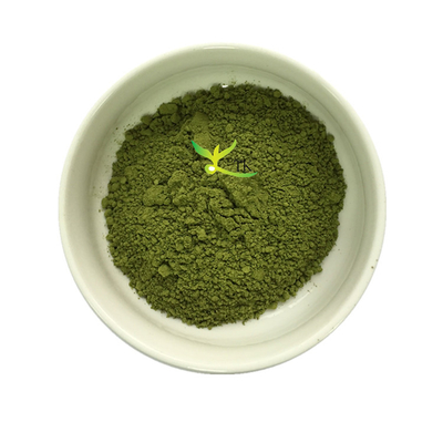 Bester Preis Reines Natürliches Bio-Moringa-Blattextrakt-Pulver Moringa Oleifera Extrakt