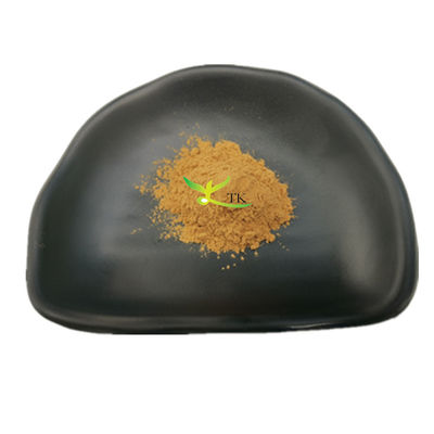 Natürliche Pilze Gesundheitspflege Agaricus Blazei Extraktpulver Agaricus Blazei Pilzextraktpulver