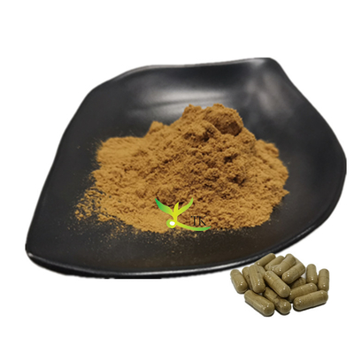 100% natürliches Tribulus Terrestris und Maca-Extraktpulver für Gesundheitspräparate