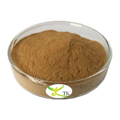 Tonking Supply Naturliches traditionelles chinesisches Kraut Isatis Wurzel Extrakt Isatis Tinctoria Extrakt Pulver