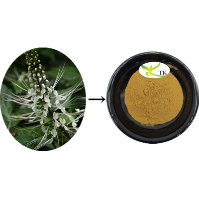 Natürliche Orthosiphon Aristatus Extrakt Orthosiphon Blatt Extrakt Pulver Reinigung Calculi