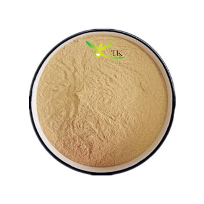 Großhandelspreis Natürlicher Schneelotus-Extrakt Schneelotus-Kräuterextrakt Bulk