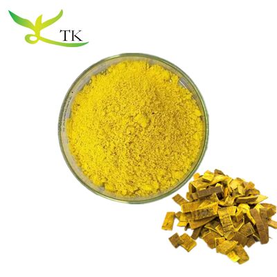 Natürliches TCM Phellodendron Amurense Rindenextrakt Berberin HCL Pulver
