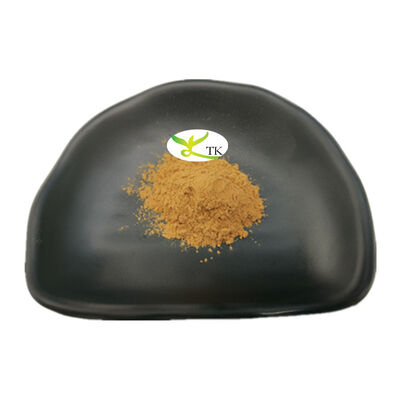 Großhandelspreis Natürliches Paullinia Cupana Samenextrakt Pulver Wasserlöslich