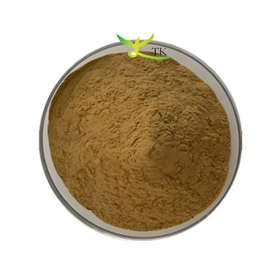 Bacopa Monnieri Extrakt 40% Bacopaside Pulver Brahmi Extrakt Pulver