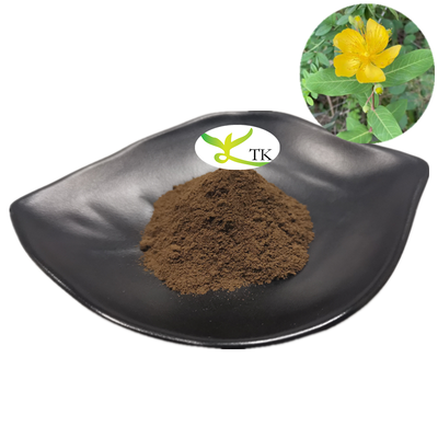 Natürliches Perforatum-Extrakt St. John's Wort-Extrakt 0,3% Hypericum Perforatum-Extrakt für die Stimmung