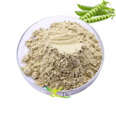 Großhandelspreis veganes Protein-Supplement Erbsenprotein-Isolat Erbse Erbsenprotein-Peptid-Proteinpulver 70% 80%