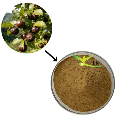 Großhandelspreis 100% natürlicher Camellia Sinensis-Extrakt Pulver Tee Saponin-Extrakt für kosmetische Zwecke