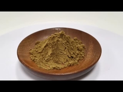 Großhandelspreis Natürliches Pflanzenextraktpulver 5% Flavonoide Löwenzahn-Extraktpulver