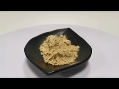 Großhandel Lentinus Edodes Extrakt Shiitake Pilze Extrakt Pulver Shiitake Pilze