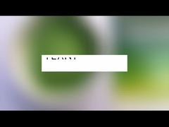 Großhandel Moringa Oleifera Teepulver Moringa Blattpulver Kapseln Pulver in großen Mengen