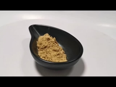 Natürliches Pflanzenextraktpulver Pilzextraktpulver