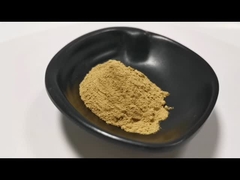 Zitrusfrucht Aurantium-Auszug