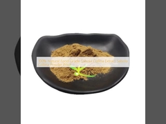 100% natürliche Lebensmittelqualität Salsola Collina Extrakt Salsola Collina Pulver Preis