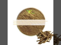 Reines natürliches sibirisches Ginseng Eleutherococcus Senticosus Wurzelpulver 10:1 Acanthopanax Senticosus Rhizom Eleuthero Wurzelextrakt Pulver