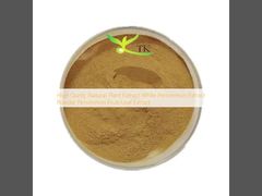 Hochwertiger natürlicher Pflanzenextrakt Weißer Kaki-Extrakt Pulver Kaki-Frucht-/Blattextrakt