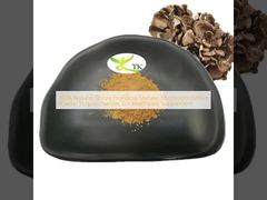 100% Natürliches Grifola Frondosa Maitake Pilz Extrakt Pulver Polysaccharide für Nahrungsergänzungsmittel