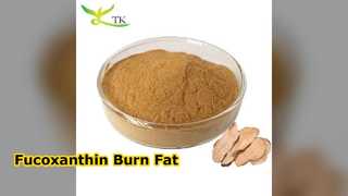 Fucoxanthin 60 % Braunalgen-Extrakt-Pulver