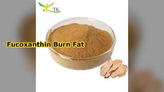Fucoxanthin 60 % Braunalgen-Extrakt-Pulver