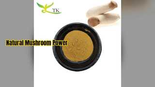 Austernpilzextrakt stärkt das Immunsystem und die Gehirnleistung