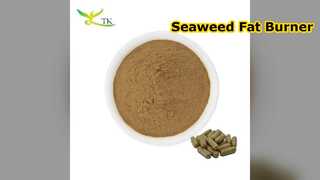 Fucoxanthin-Algenextrakt-Fatburner